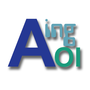AINGOI Asociación de Ingenieros de Organización Industrial